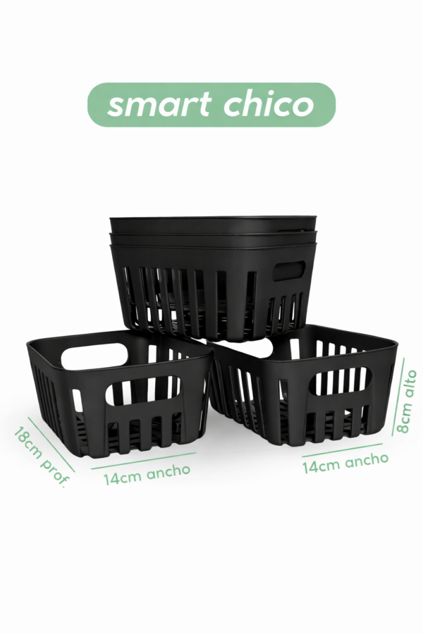 Canasto Smart Chico