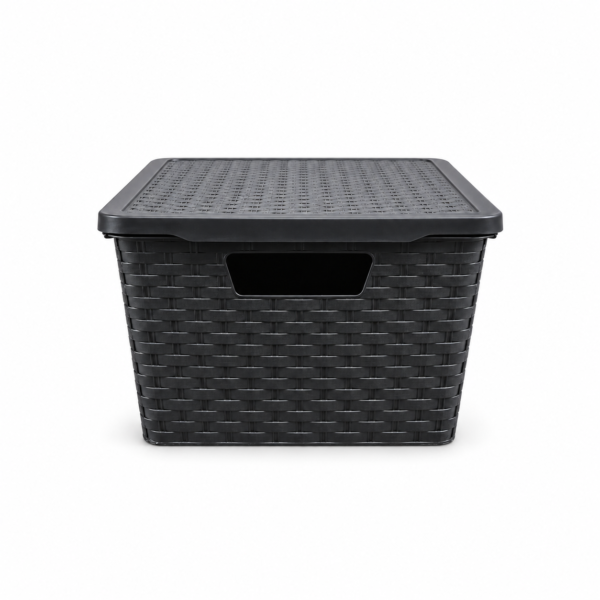 Canasto Rattan Mediano